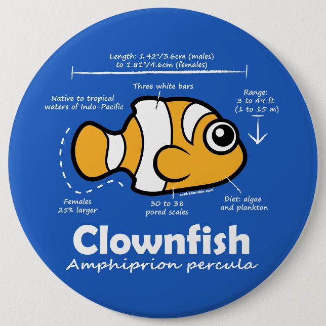 Macaron Rond 15,2 Cm Statistiques de Clownfish (Devant)