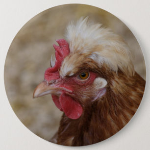 Macaron Rond 15,2 Cm Sulmtaler Hen