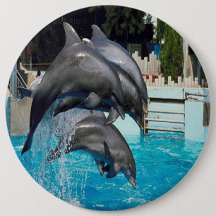 Macaron Rond 15,2 Cm Trio-de-dauphins, bouton