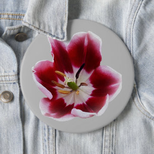 Macaron Rond 15,2 Cm Tutelle rouge profonde