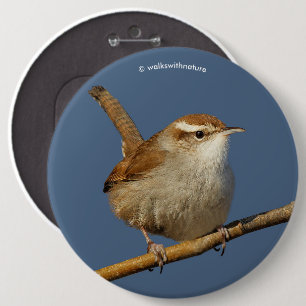 Macaron Rond 15,2 Cm Un curieux Wren de Bewick's Wren dans l'arbre