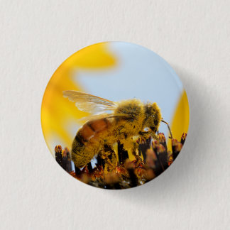Macaron Rond 2,50 Cm Abeille Pollen-Enduite de miel sur un bouton de