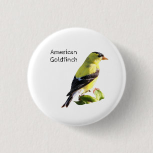 Macaron Rond 2,50 Cm Américain Goldfinch