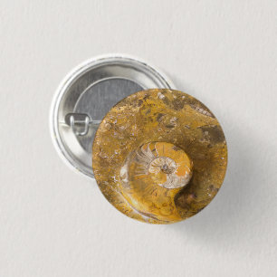 Macaron Rond 2,50 Cm Ammonite et autres fossiles en roche