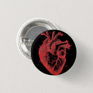 Macaron Rond 2,50 Cm Anatomical Human Heart Red Diagram button pin