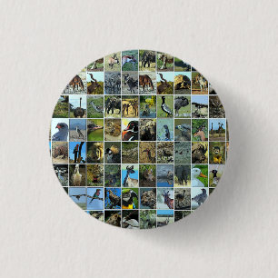 Macaron Rond 2,50 Cm Animaux du monde