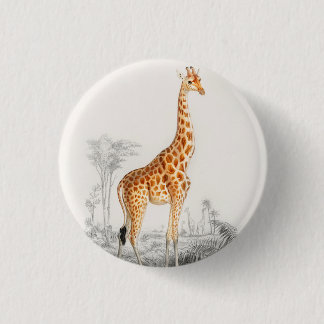 Macaron Rond 2,50 Cm Antique Giraffe Histoire naturelle Imprimer Orbign