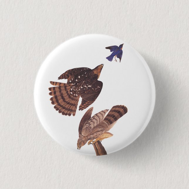 Macaron Rond 2,50 Cm Audubon's Coopers Hawk Bird of Prey (Devant)