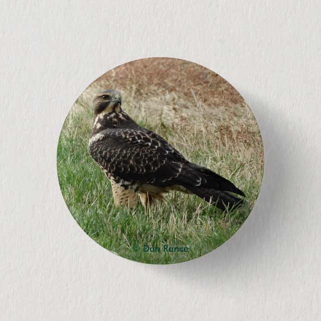 Macaron Rond 2,50 Cm B52 Swainson's Hawk (Devant)