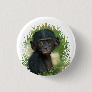 Macaron Rond 2,50 Cm Baby Ape dans l'herbe
