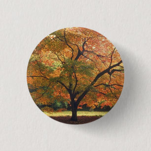 Macaron Rond 2,50 Cm Beau arbre d'automne