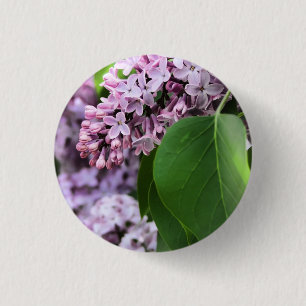 Macaron Rond 2,50 Cm Beau bouton rond lilas