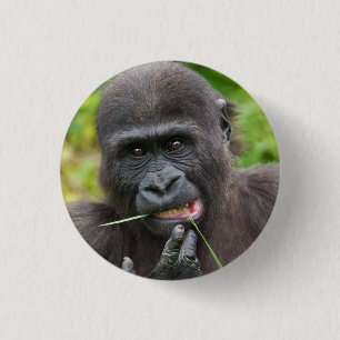 Macaron Rond 2,50 Cm Bébé Gorilla Cuteness