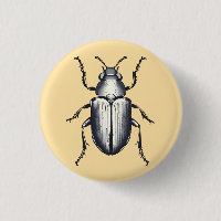 Beetle