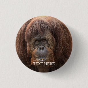 Macaron Rond 2,50 Cm Belle photographie de Borneo Orangutan