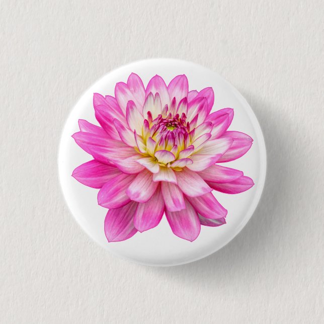 Macaron Rond 2,50 Cm Big Rose Dahlia (Devant)
