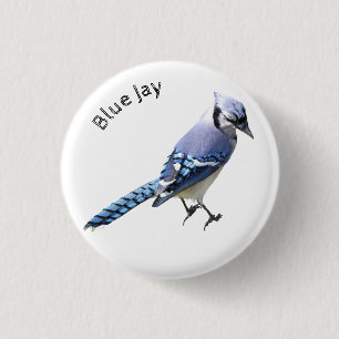Macaron Rond 2,50 Cm Blue Jay