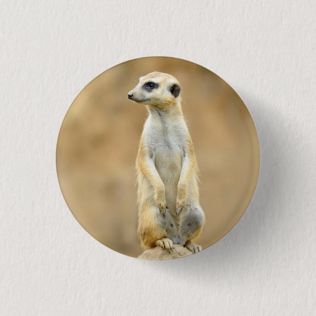 Macaron Rond 2,50 Cm Bouton avec Meerkat sur garde (Devant)