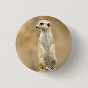 Macaron Rond 2,50 Cm Bouton avec Meerkat sur garde
