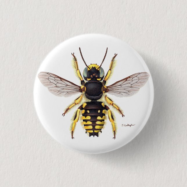 Macaron Rond 2,50 Cm bouton bee de carder de laine (Devant)
