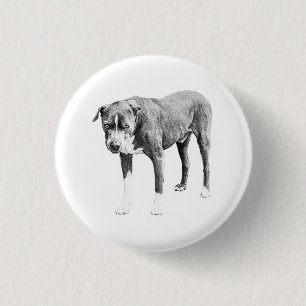 Macaron Rond 2,50 Cm Bouton d'arête de trait ombragé