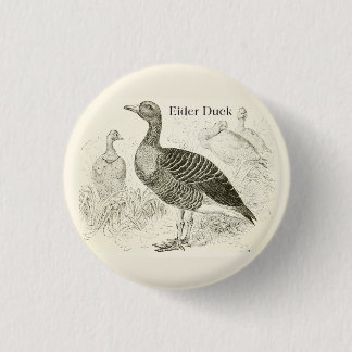 Macaron Rond 2,50 Cm Bouton de Canard Eider