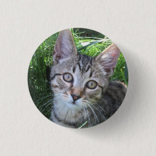 Macaron Rond 2,50 Cm Bouton de chat Tabby gris