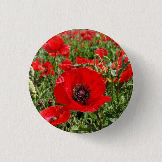 Macaron Rond 2,50 Cm Bouton de coquelicot Flandre (Devant)