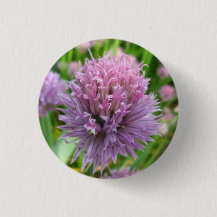 Macaron Rond 2,50 Cm Bouton de floraison de ciboulette