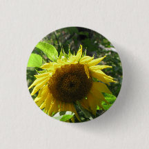 Bouton de jardinage de tournesol