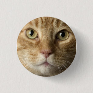 Macaron Rond 2,50 Cm Bouton de Kitty