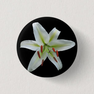 Macaron Rond 2,50 Cm Bouton de lis blanc