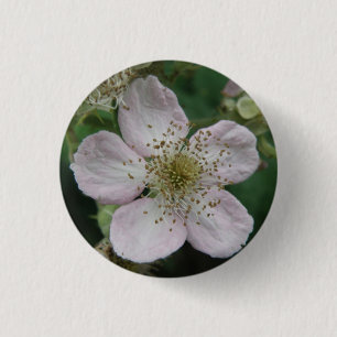 Macaron Rond 2,50 Cm Bouton de macro Fleur Blackberry