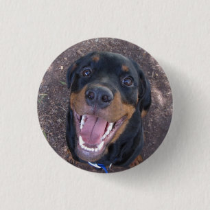 Macaron Rond 2,50 Cm Bouton Heidi Happy Rottweiler