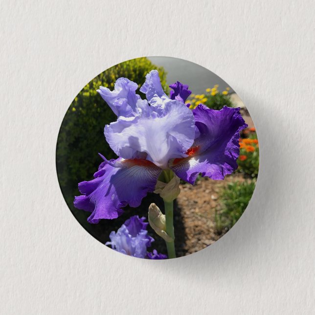 Macaron Rond 2,50 Cm Bouton Iris à fond violet (Devant)