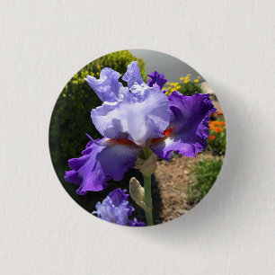 Macaron Rond 2,50 Cm Bouton Iris à fond violet