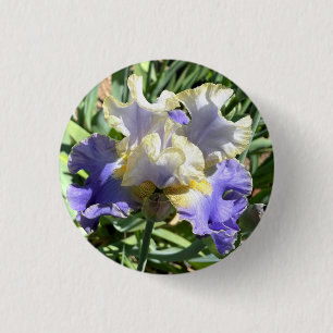 Macaron Rond 2,50 Cm Bouton Iris doré