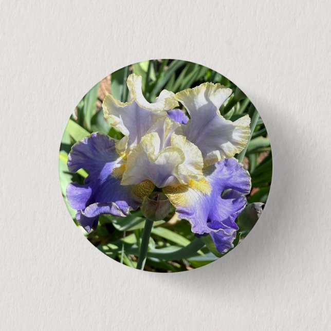 Macaron Rond 2,50 Cm Bouton Iris doré (Devant)