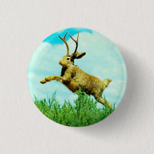 Macaron Rond 2,50 Cm Bouton Jackalope