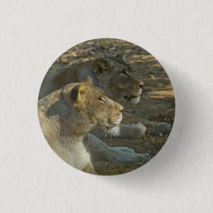 Macaron Rond 2,50 Cm Bouton Lions