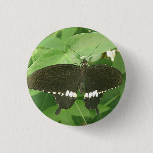 Macaron Rond 2,50 Cm Bouton papillon mormon commun