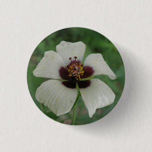Macaron Rond 2,50 Cm Bouton Passionflower blanc et violet