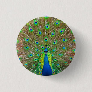 Macaron Rond 2,50 Cm Bouton Peacock Bleu #3