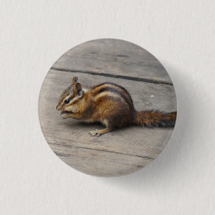 Macaron Rond 2,50 Cm Bouton Pinback Chipmunk