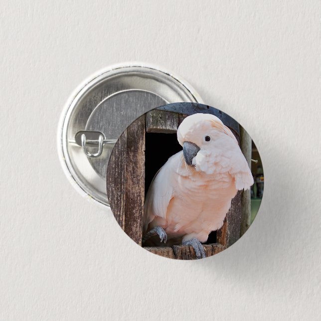 Macaron Rond 2,50 Cm Bouton Pinback Cockatoo Moluccan (Devant & derrière)