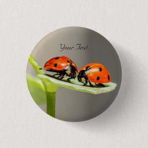 Macaron Rond 2,50 Cm Bouton Pinback des coléoptères Ladybugs