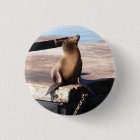 Bouton Pinback du Lion de mer San Francisco Pier 3