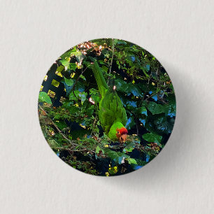Macaron Rond 2,50 Cm Bouton Pinback pour le couvercle en tête de cerise