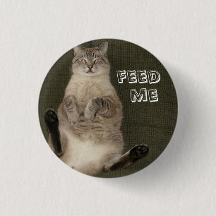 Macaron Rond 2,50 Cm Bouton rond du chat "FEED ME"