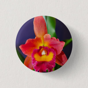 Macaron Rond 2,50 Cm Bouton rouge et orange orchidée